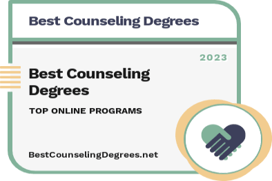 Best Online Masters In Counseling Degree Program