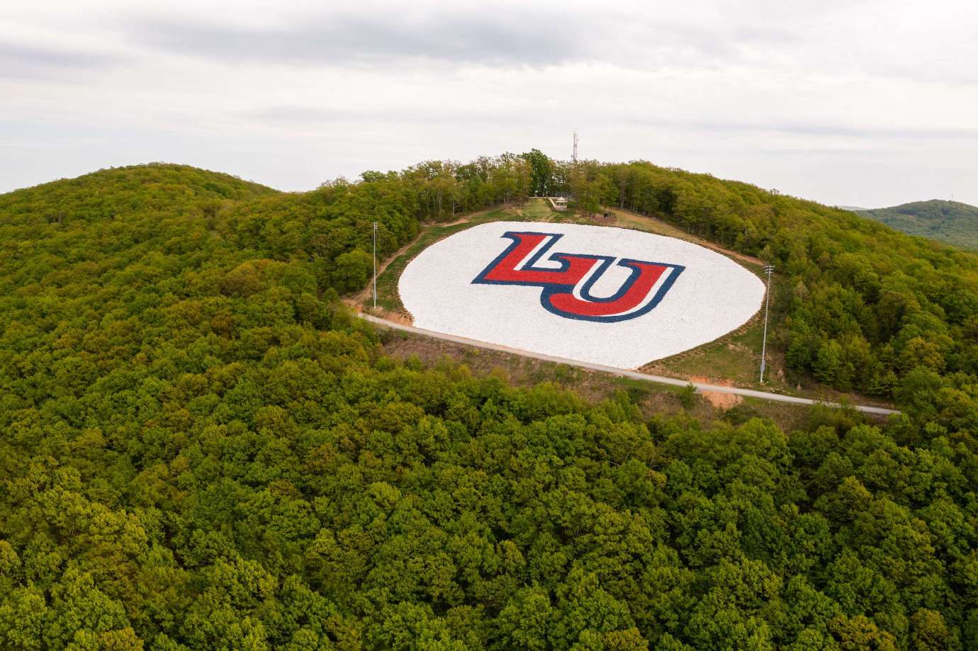 Promotion FAQ Liberty University Online