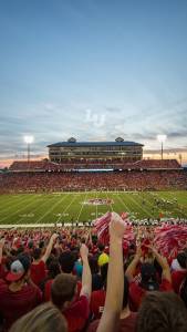 Liberty Football Stadium Mobile Wallpaper 169x3006.jpg