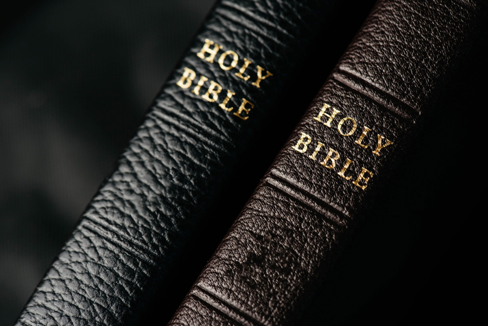 Minor in apologetics liberty university online programs