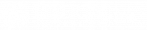 Liberty University School of Law Logo
