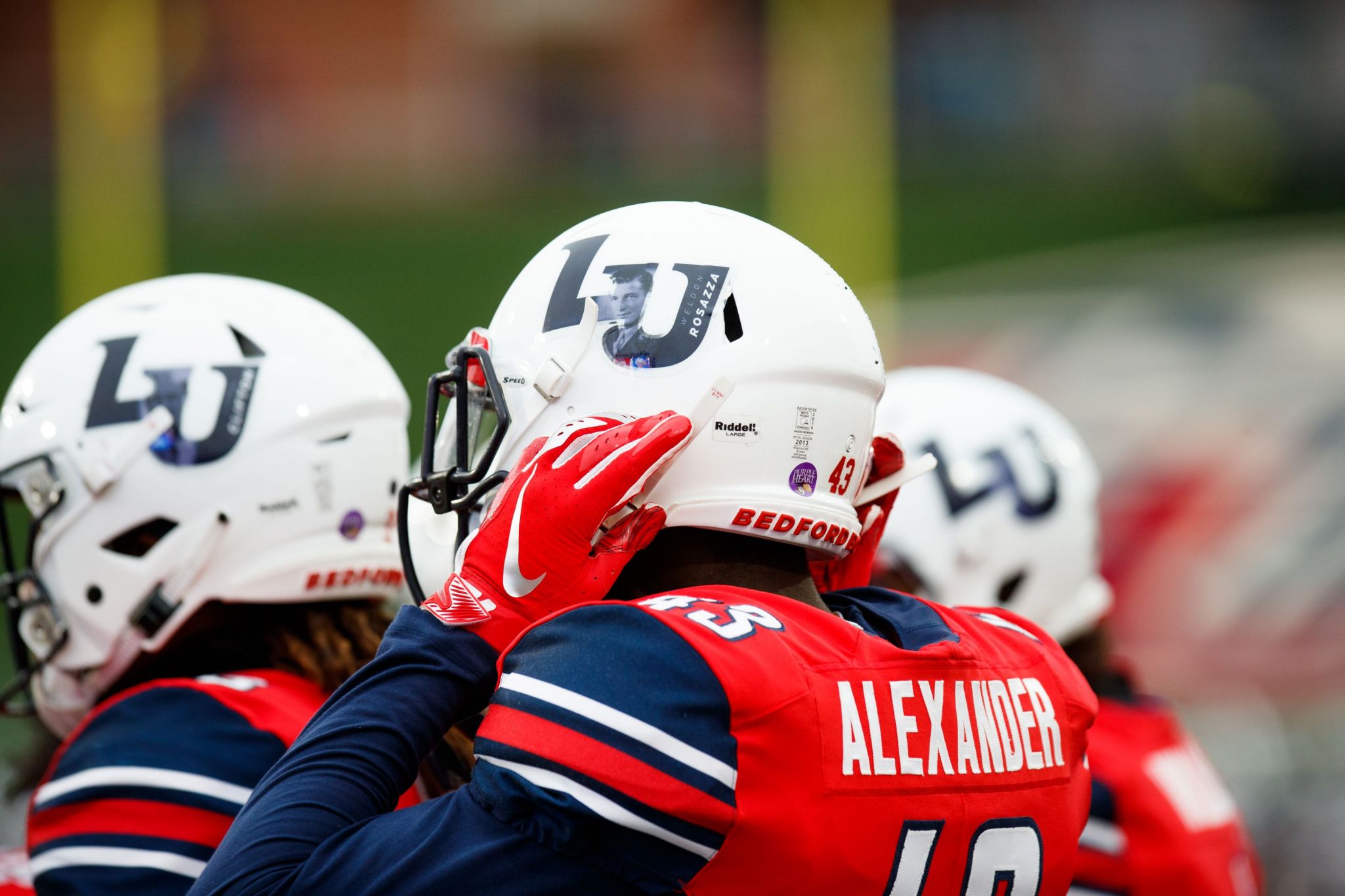 Sport science dissertation examples picture