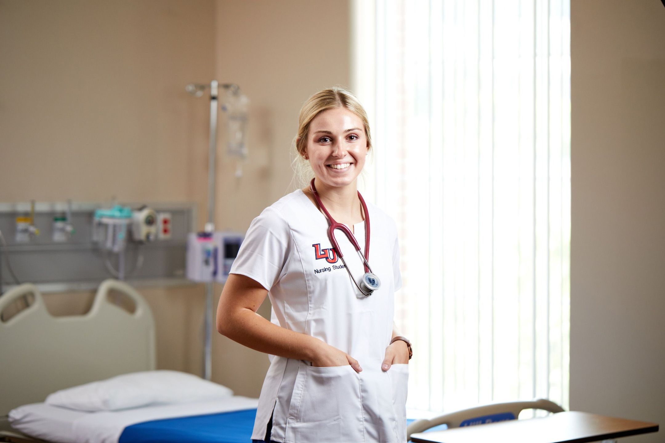 online phd nursing education