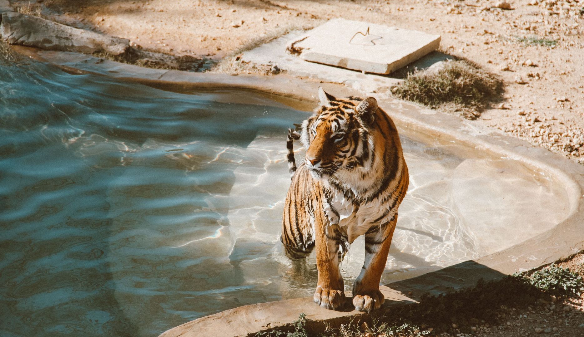 Bachelor’s in Zoo and Wildlife Biology | Liberty University