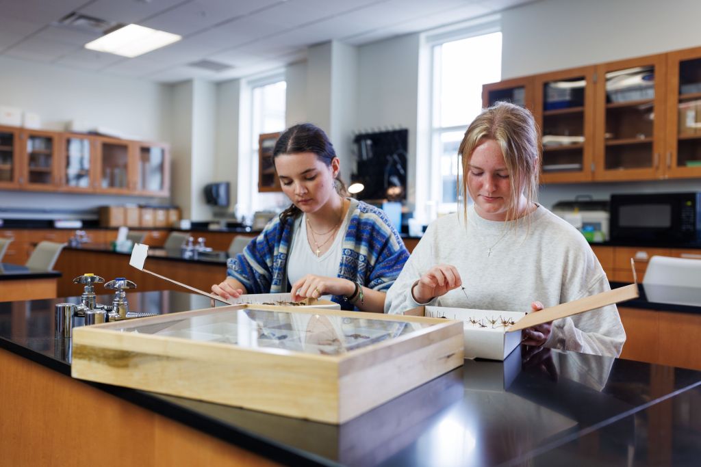 Bachelor's Forensic Science