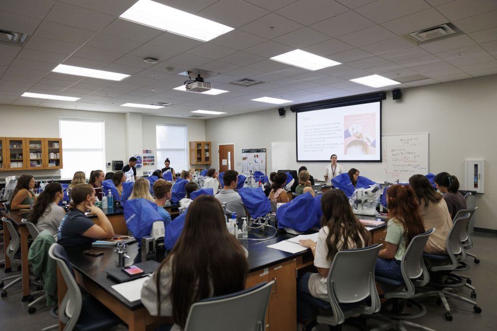Liberty’s Wildlife And Zoo Biology Degree