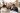 MBA In Healthcare Law And Compliance Degree